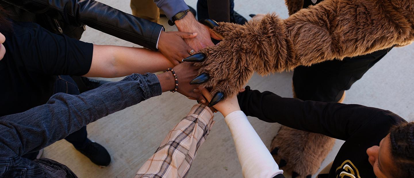 photo of Grizz Paw with hands of students, showing unity